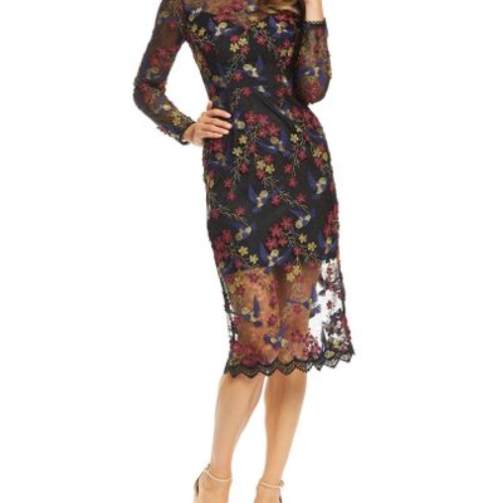 Dress the population embroidered midi dress